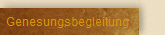 Genesungsbegleitung